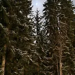 Karhurinne Villa *